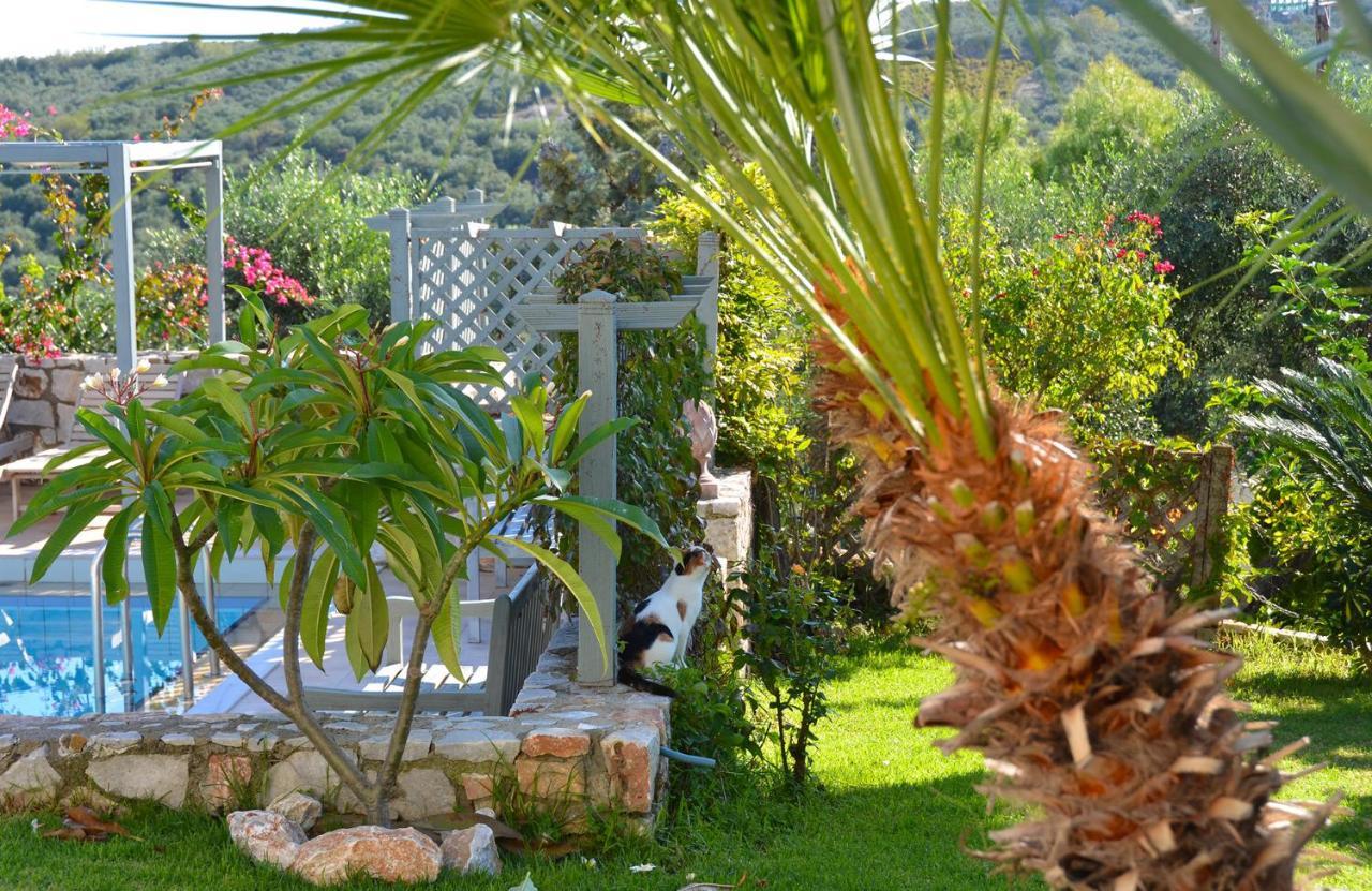 West Crete Chania - Villa Europa Δαρμαροχώρι Εξωτερικό φωτογραφία